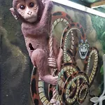 Appartamento Riviera Odessa