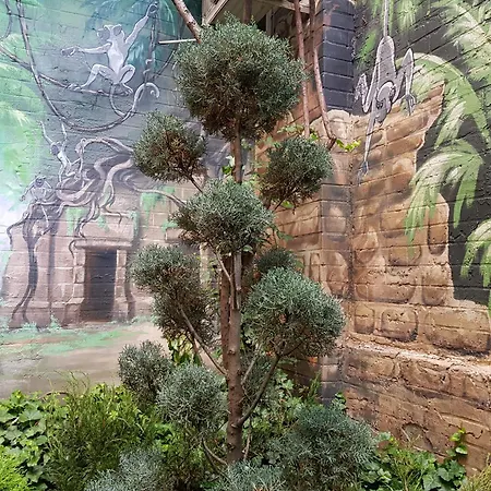 Riviera Апартаменты